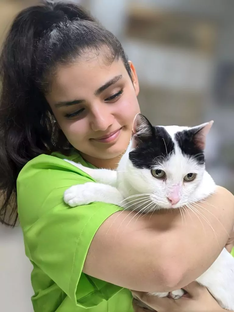 Katze beim Tierarzt