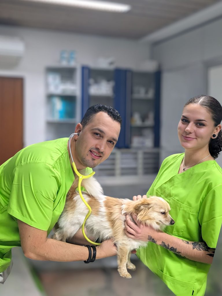 Tierarzt mit Kollegin und Hund