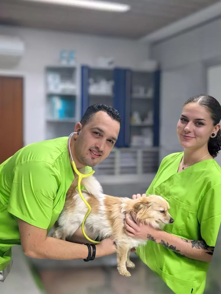 Tierarzt mit Kollegin und Hund