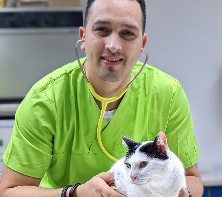 Tierarzt mit Katze