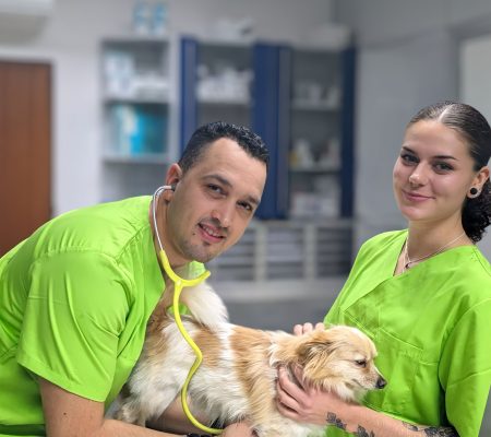 Tierarzt mit Kollegin und Hund